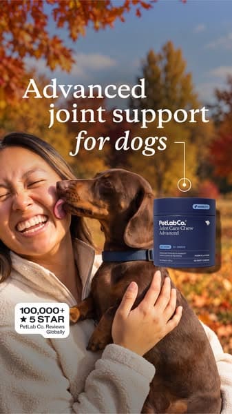 Advanced Joint Support for Dogs 🍂 50% Off Ends Soon