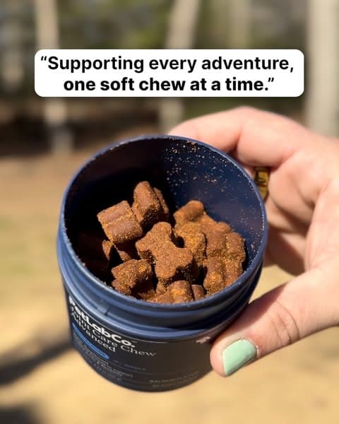 Keep their tail wagging on every trail