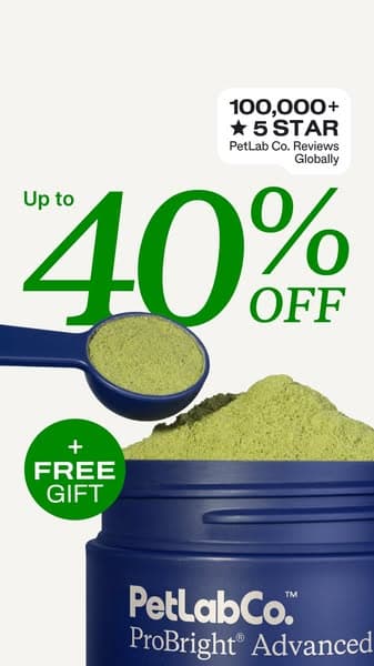 Up to 40% Off + Free Gift