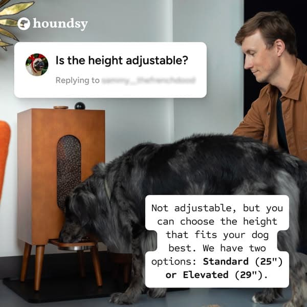 Portion-Controlled Feeder with 400+ 5-Star Reviews