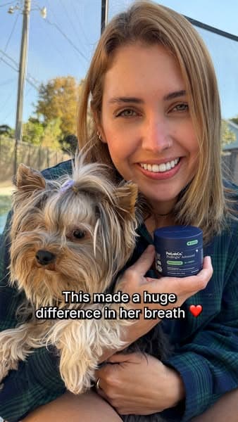 Busy Dog Moms Are Switching To This