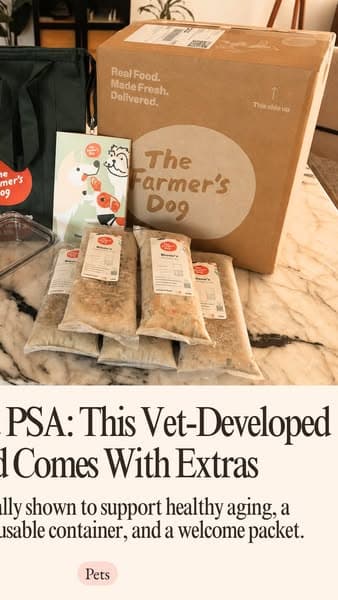 Vet-Developed Peace of Mind: 50% Off The Farmer’s Dog
