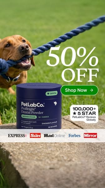 50% OFF Dog Dental Powder | Powerful Daily Support