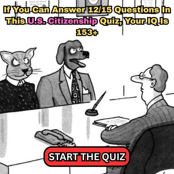 Can You Pass the U.S. Citizenship Test?