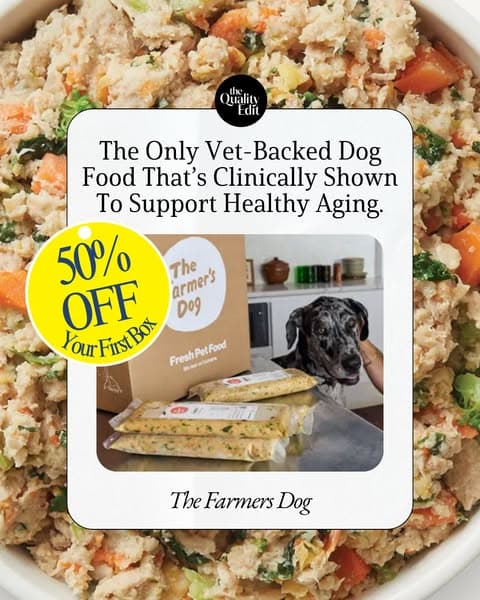 Why Our Editors Recommend The Farmer’s Dog (Now 50% Off)