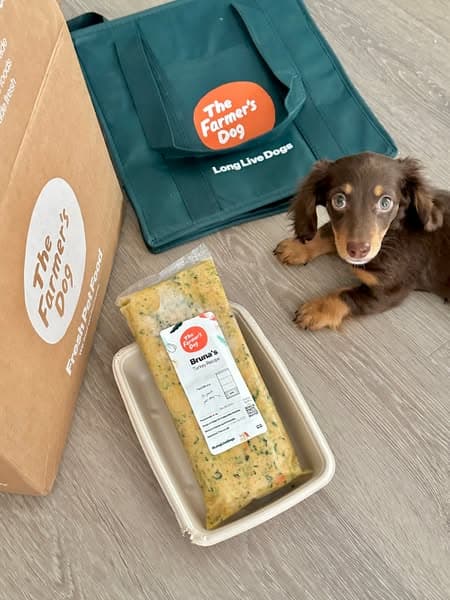 Healthy dog food, delivered