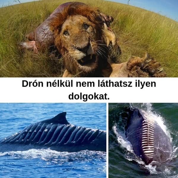 Több, mint 32 drónkép, dolgokról, amiket általában nem látunk.