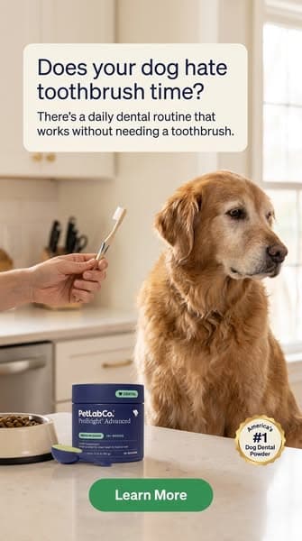 Keep their teeth clean WITHOUT a toothbrush!