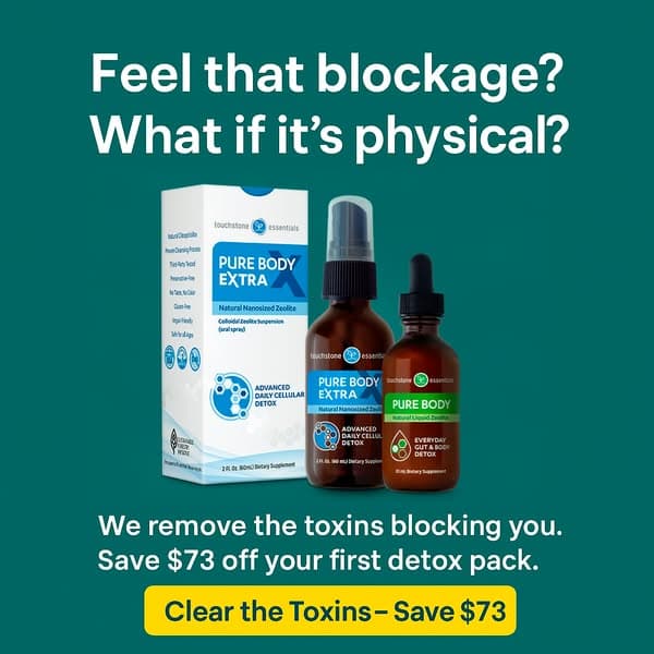 🌟 Clear the Block — Save $73 💫