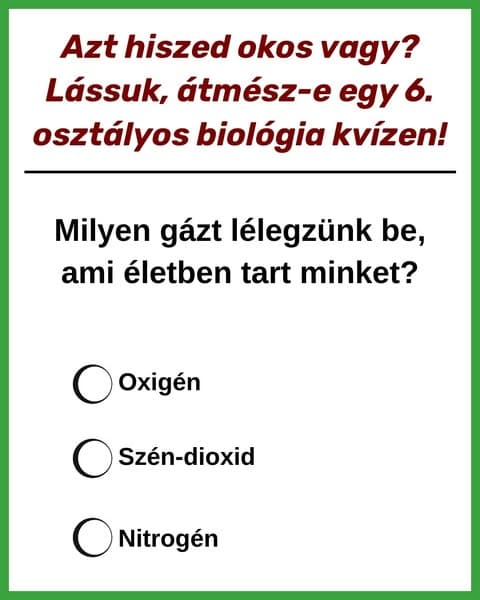 Próbáld ki az általános iskolai biológia kvÃzt 🚗
