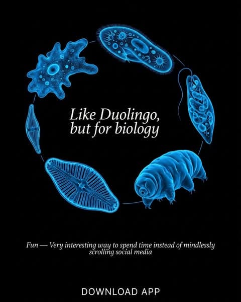 π¬ Biology, but Bite-Sized!