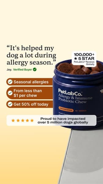 This “Allergy Chew” Helps Dogs Be Themselves Again ❤️
