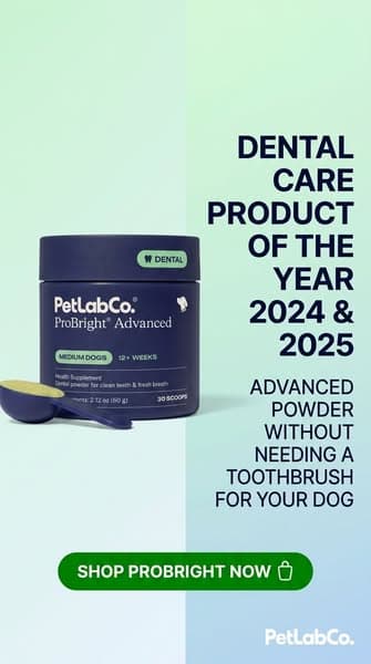Voted Dog Dental Care Product of the Year. Twice.