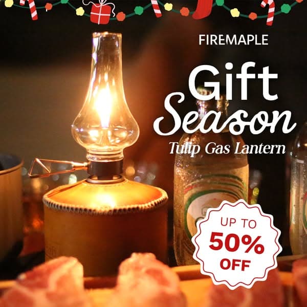 CHRISTMAS GIFT SEASON