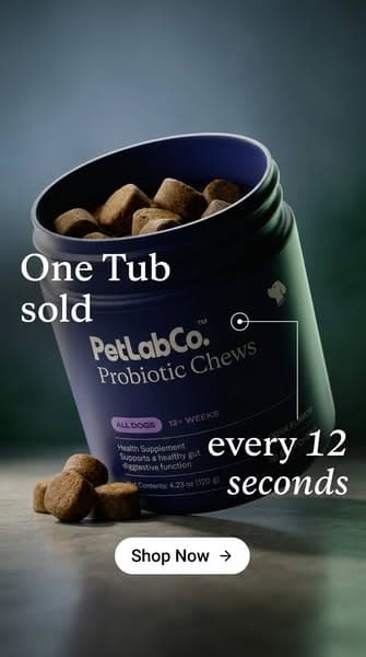America’s #1 Probiotic Chew for Dogs