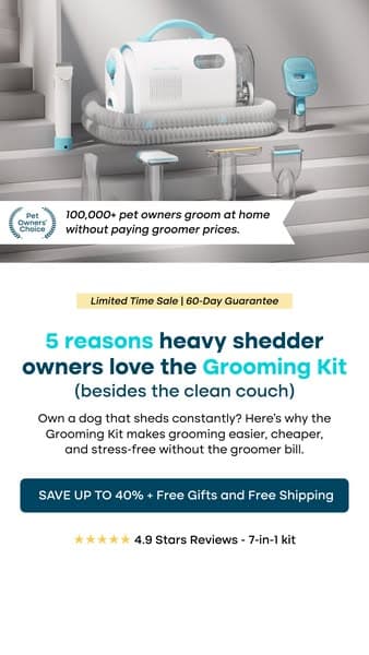 Struggling with Pet hair? Not for long!