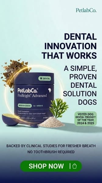 Voted Dog Dental Care Product of the Year. Twice.