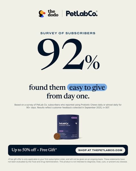 92% Found Them Easy To Give