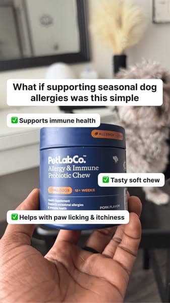Allergy Support, Made Simple