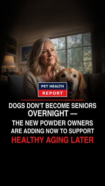Why This New Dog Powder Has Gone Viral