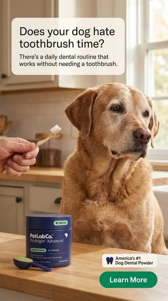 Keep their teeth clean WITHOUT a toothbrush!
