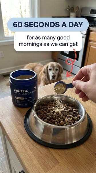 👉 Vet-approved "all-in-one" scoop for senior joints, gut & heart wellness ❤️