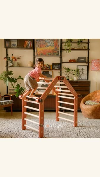Transformable Pikler Triangle Collection