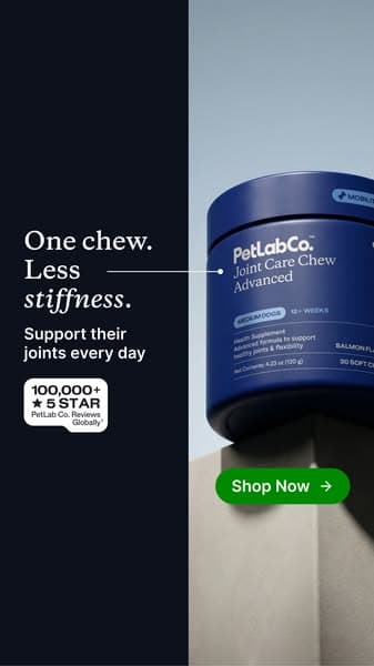 Get up to 50% off today 👉