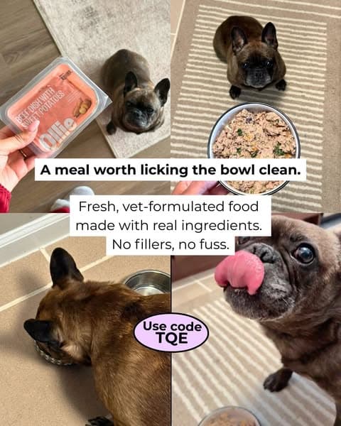 100% Human-Grade Ingredients for Your Pup