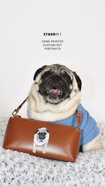 CUSTOM STAUD X C.BONZ PET COLLECTION