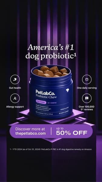 92% of Dogs Love It From Day One