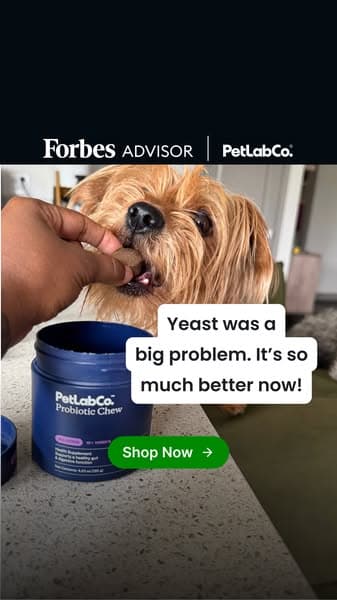 Yeast & Loose Stools? Try This Daily Chew