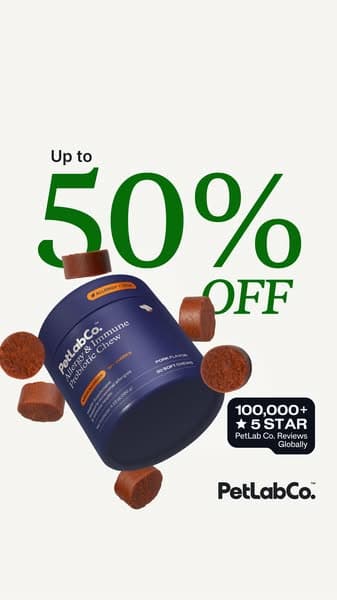 Get up to 50% OFF + Free shipping today 👉