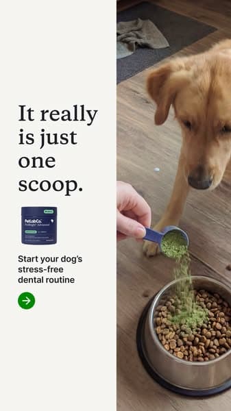 Simple Dental Routine You’ll Actually Stick With