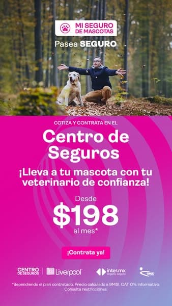 Aprovecha hasta 9 MSI