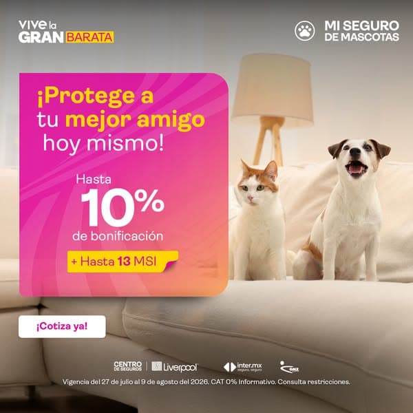¡Protege a tu mejor amigo!