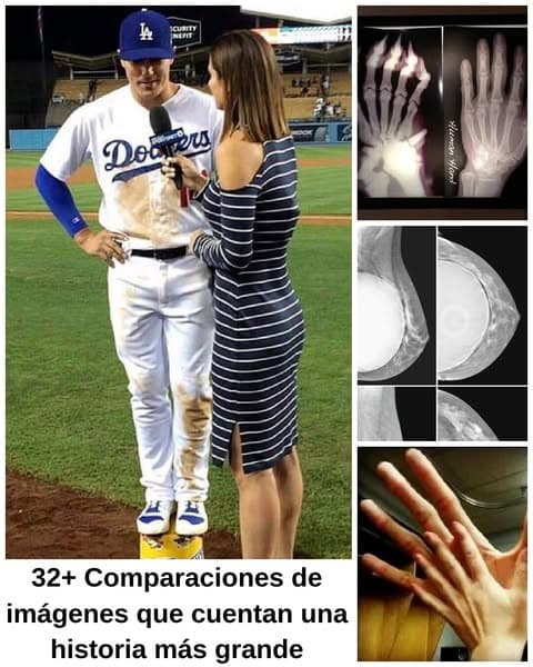 Fotos que cambian la visión habitual de las cosas comunes