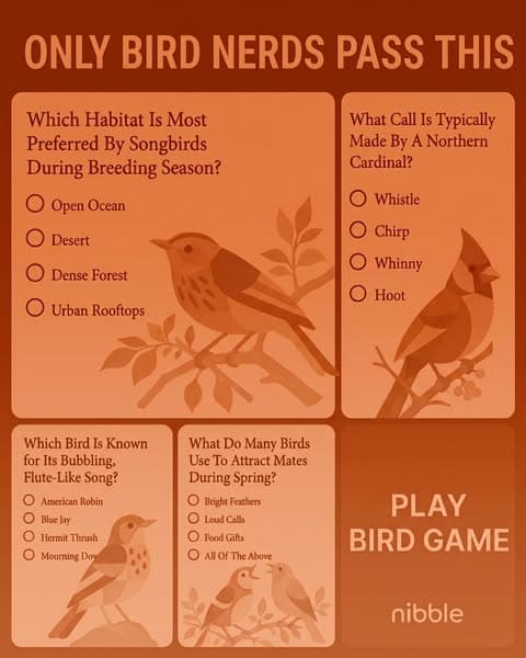 🕊Ornithology, but Bite-Sized!