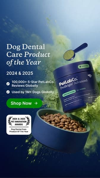 Meet the powder that cleans dog teeth in 5 seconds