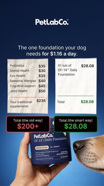Replace $200+ In Dog Supplements With 1 Scoop