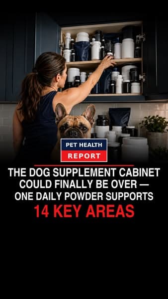 Why This New Dog Powder Has Gone Viral