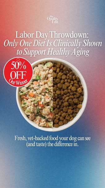 Labor Day Deal: The Farmer’s Dog 50% Off