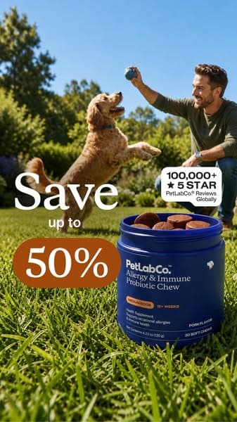 This "Allergy Chew" Helps Dogs Be Themselves Again ❤️