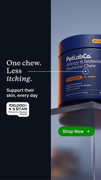 This “Allergy Chew” Helps Dogs Be Themselves Again ❤️