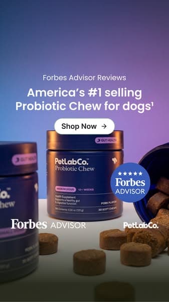 America's #1 Selling Dog Probiotic Chew