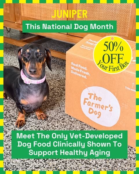 Why Our Editors Recommend The Farmer’s Dog (Now 50% Off)