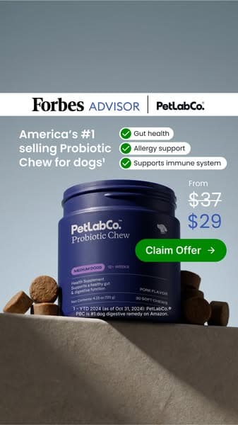 America's #1 Selling Dog Probiotic Chew