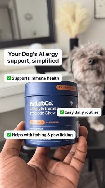 Allergy Support, Made Simple