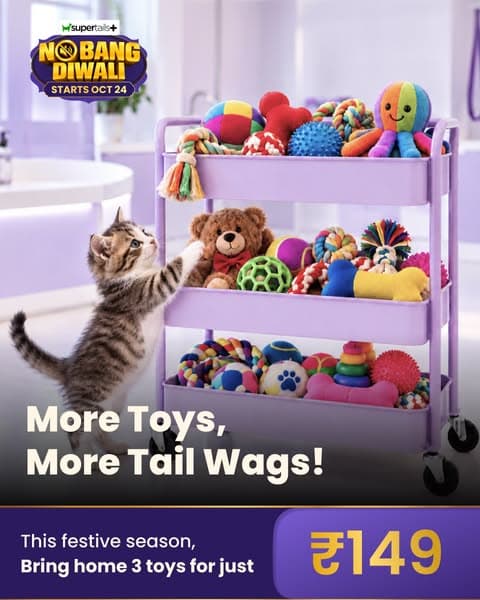 No Bang Diwali At Supertails+ β Book Now!