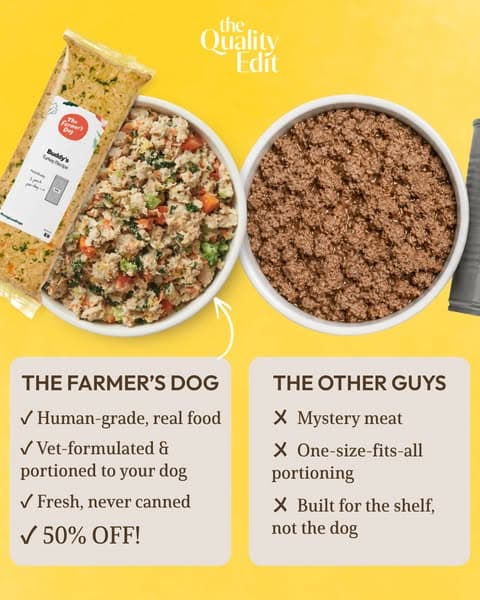 Why Our Editors Recommend The Farmer’s Dog (Now 50% Off)